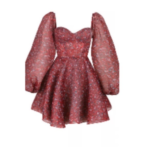 Selkie Red Floral Puff Sleeve Mini Dress - Picture 10 of 10